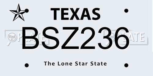 BSZ236 Texas License Plate