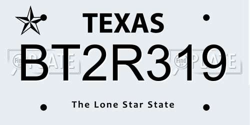 BT2R319 Texas License Plate