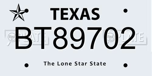 BT89702 Texas License Plate