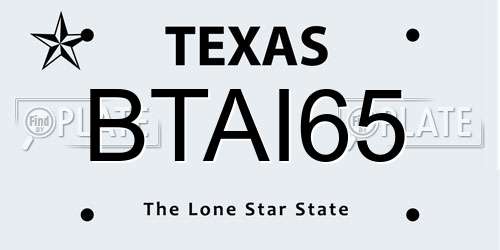 BTAI65 Texas License Plate