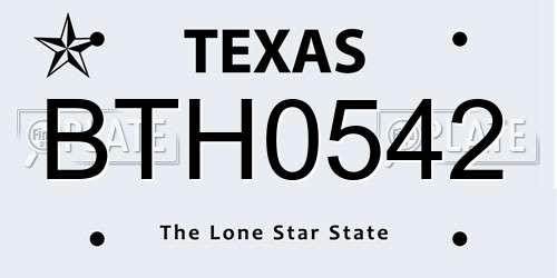 BTH0542 Texas License Plate