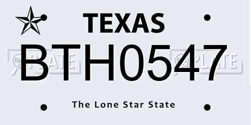BTH0547 Texas License Plate