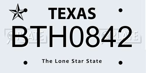 BTH0842 Texas License Plate