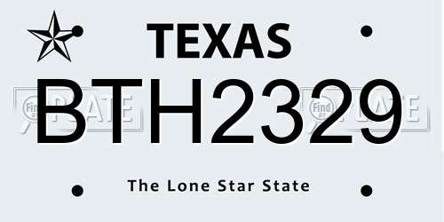 BTH2329 Texas License Plate