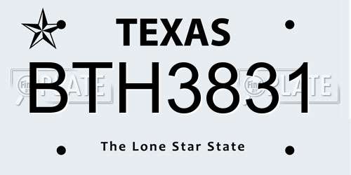 BTH3831 Texas License Plate