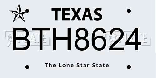BTH8624 Texas License Plate