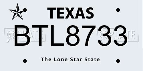 BTL8733 Texas License Plate