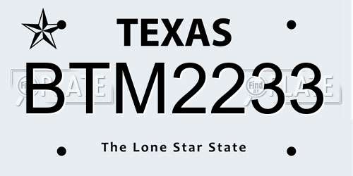 BTM2233 Texas License Plate