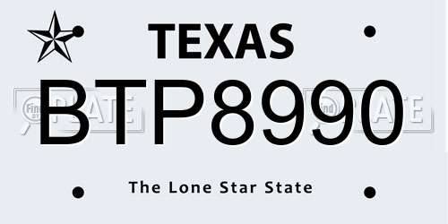 BTP8990 Texas License Plate