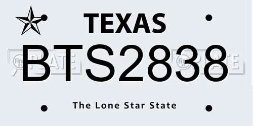 BTS2838 Texas License Plate