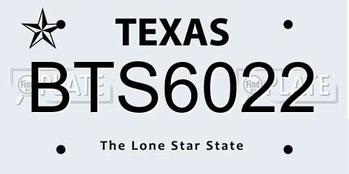 BTS6022 Texas License Plate