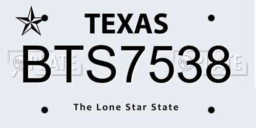 BTS7538 Texas License Plate