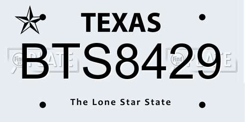 BTS8429 Texas License Plate