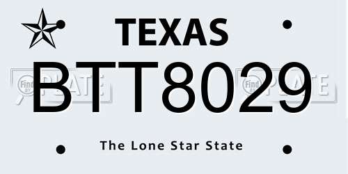 BTT8029 Texas License Plate