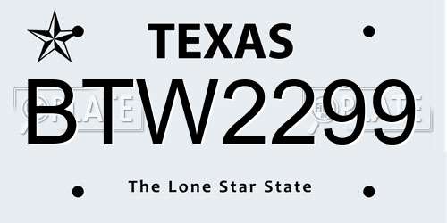 BTW2299 Texas License Plate