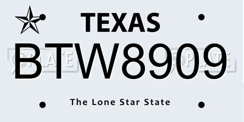 BTW8909 Texas License Plate