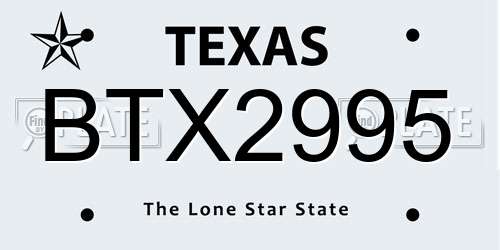 BTX2995 Texas License Plate