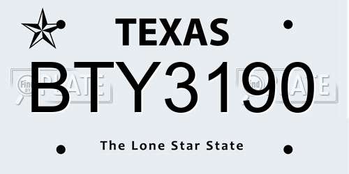 BTY3190 Texas License Plate