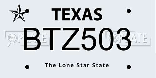 BTZ503 Texas License Plate