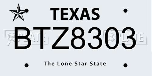 BTZ8303 Texas License Plate