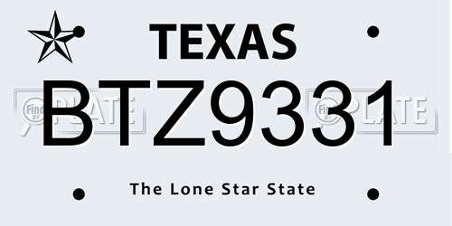 BTZ9331 Texas License Plate