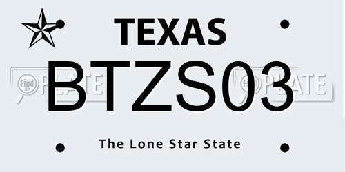 BTZS03 Texas License Plate