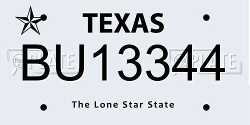 BU13344 Texas License Plate