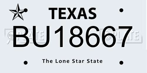 BU18667 Texas License Plate