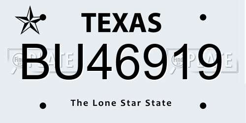 BU46919 Texas License Plate