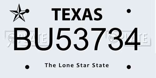 BU53734 Texas License Plate