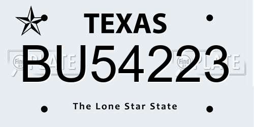 BU54223 Texas License Plate
