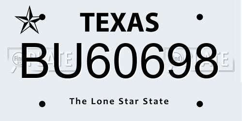 BU60698 Texas License Plate
