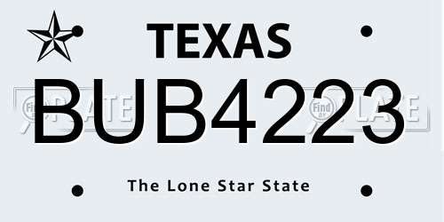 BUB4223 Texas License Plate