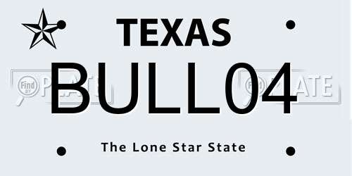 BULL04 Texas License Plate