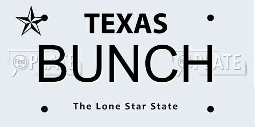 BUNCH Texas License Plate