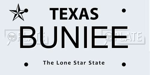 BUNIEE Texas License Plate