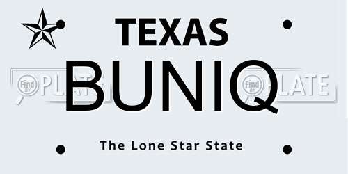 BUNIQ Texas License Plate