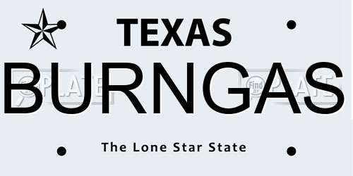 BURNGAS Texas License Plate
