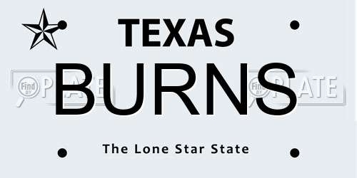 BURNS Texas License Plate
