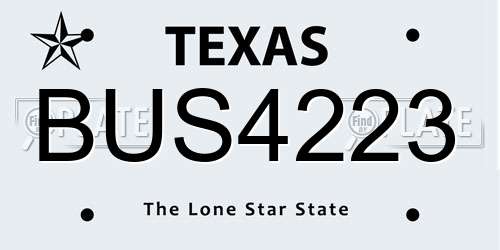 BUS4223 Texas License Plate