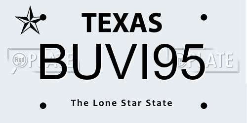 BUVI95 Texas License Plate