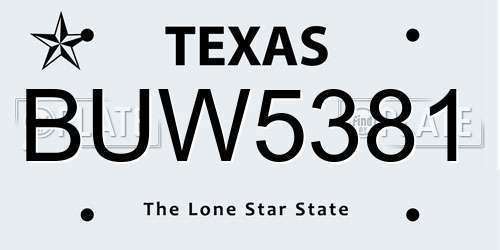 BUW5381 Texas License Plate