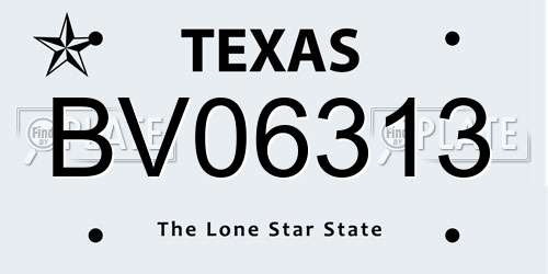 BV06313 Texas License Plate