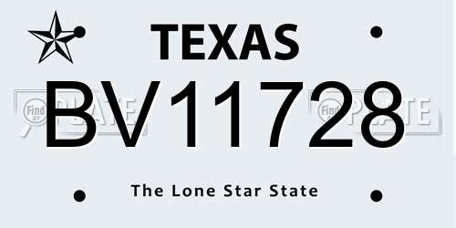 BV11728 Texas License Plate