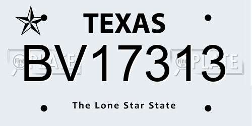 BV17313 Texas License Plate