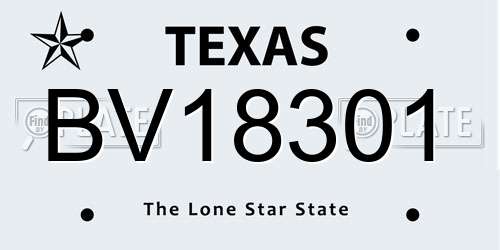 BV18301 Texas License Plate
