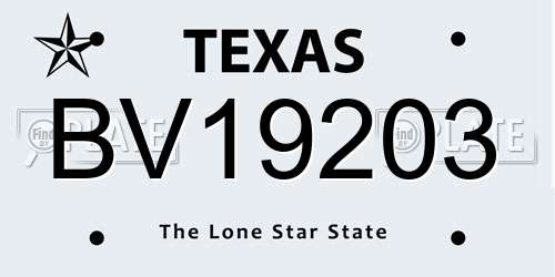 BV19203 Texas License Plate