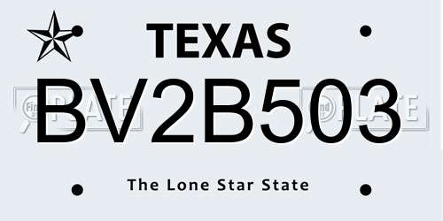 BV2B503 Texas License Plate