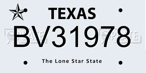 BV31978 Texas License Plate