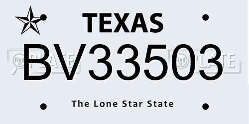 BV33503 Texas License Plate